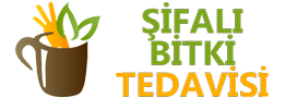 Şifalı Bitki Tedavisi