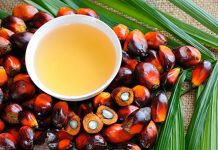 Palm Yağı Faydaları Nelerdir? Palmiye Yağı